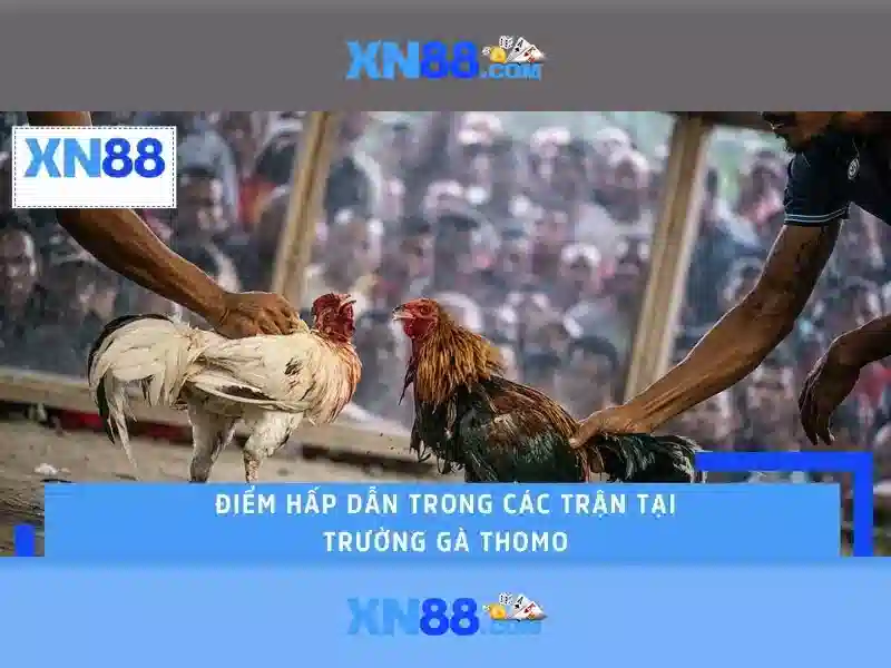 xn88: Tổng quan về nền tảng giải trí trực tuyến an toàn