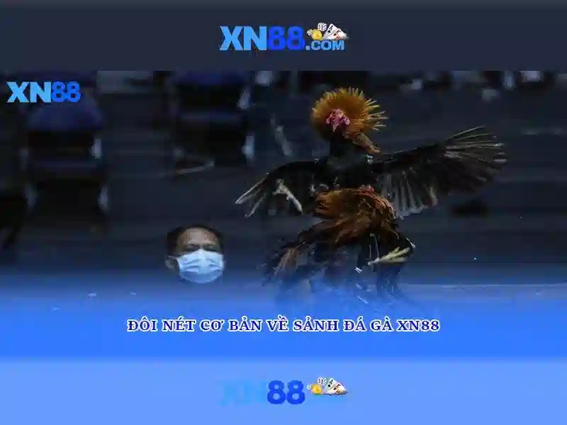 Các sản phẩm chính