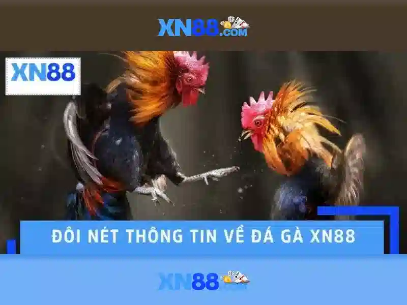 Lộ trình trải nghiệm người dùng Lộ trình trải nghiệm người dùng