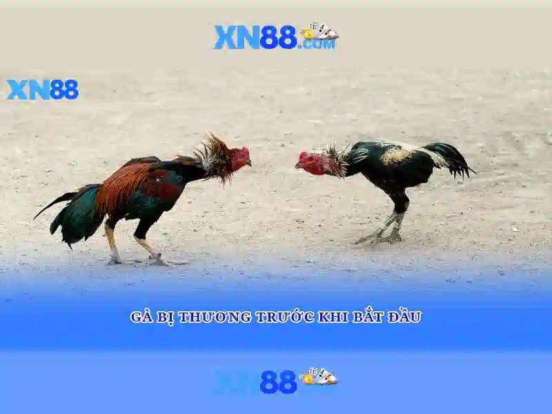 Kết luận về xn88 Kết luận về xn88