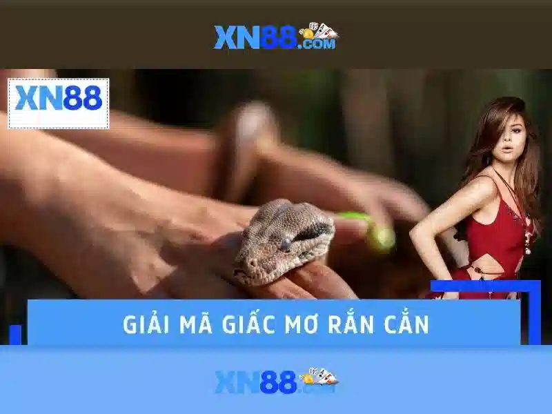 Các tính năng của xn88 Các tính năng của xn88