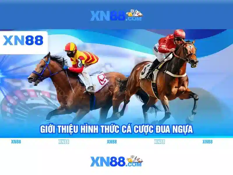 Xn88 - Giới thiệu và hướng dẫn