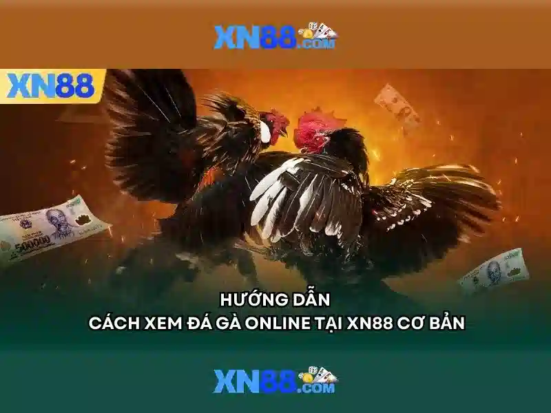 Xn88 là gì?