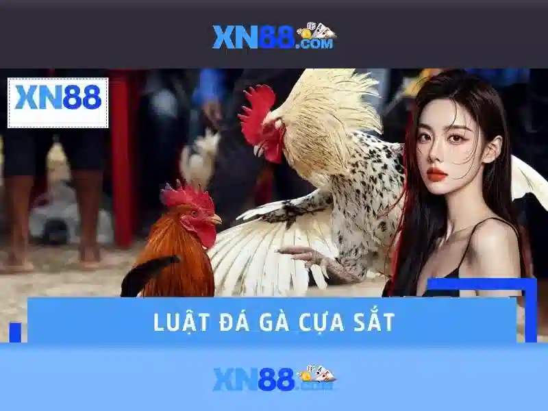 Các tính năng nổi bật của xn88