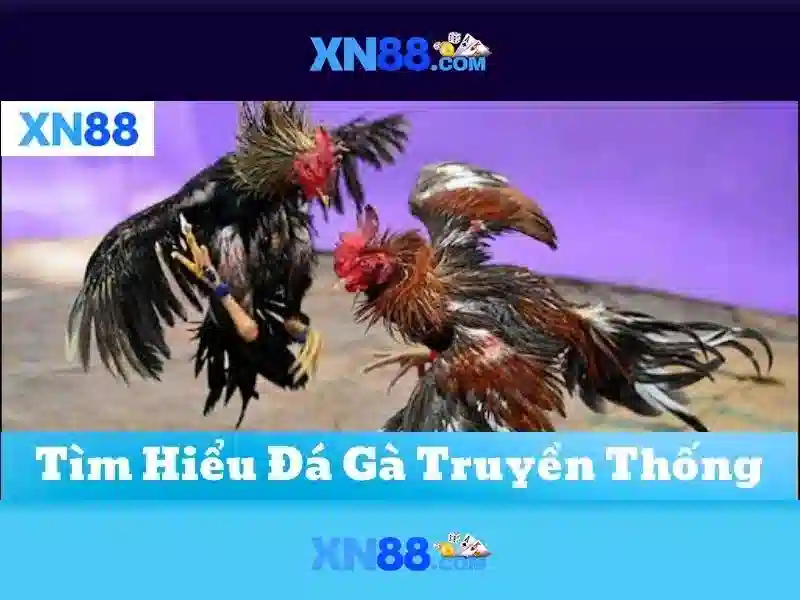 Trải nghiệm người dùng và trò chơi