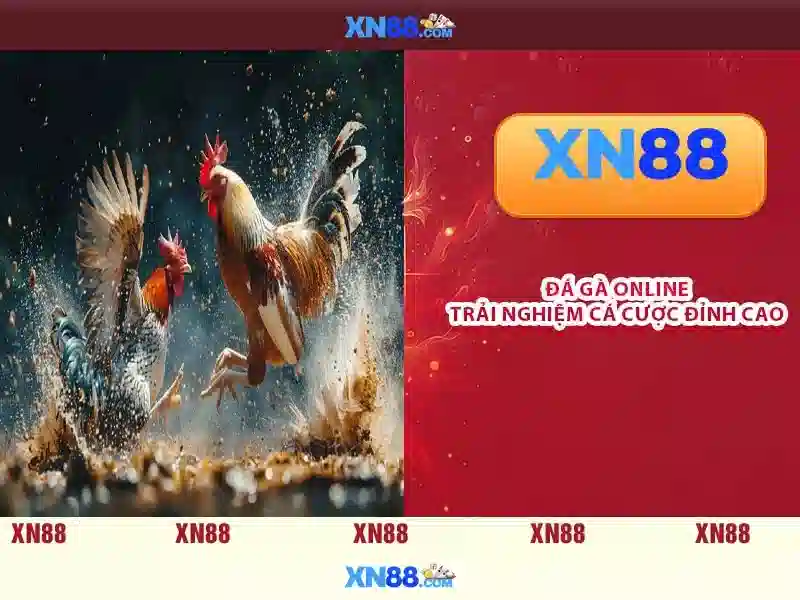 XN88: Nền tảng trò chơi trực tuyến và cá cược đáng tin cậy