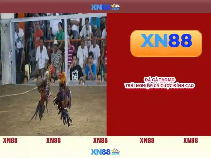 Khám phá xn88: Cổng chơi game trực tuyến và đánh giá tổng quan