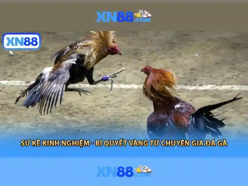 xn88: Nền tảng trò chơi trực tuyến nổi bật