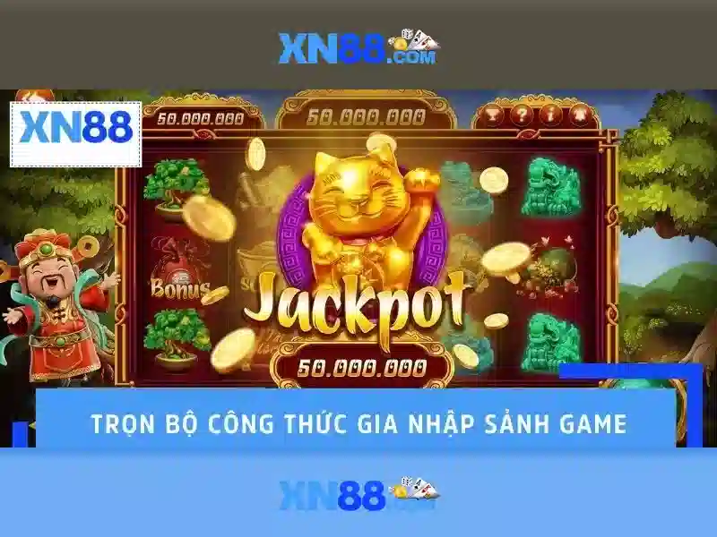Hướng dẫn và kết luận