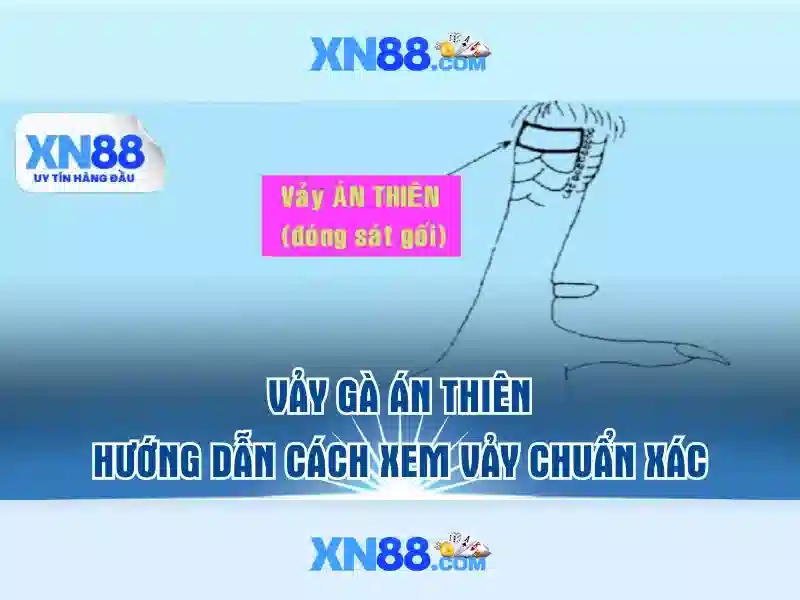 xn88: Tổng quan và đánh giá nền tảng giải trí trực tuyến