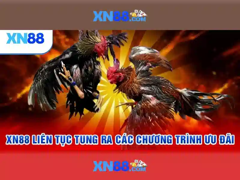 An toàn và bảo mật tại xn88