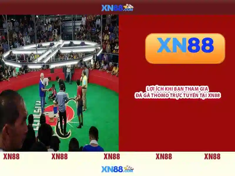 xn88 store – Trải nghiệm và giá trị thương hiệu