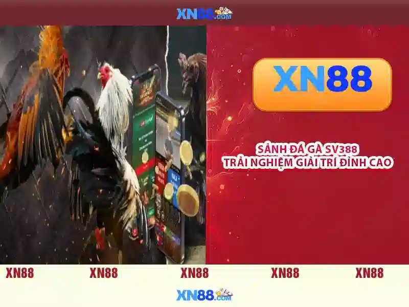 tải xn88 – Trải nghiệm đỉnh cao với xn88