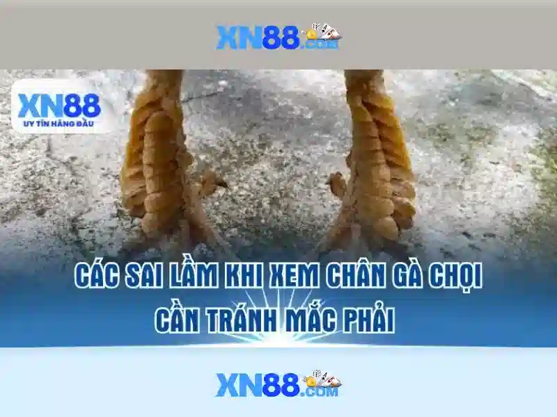 Lịch sử và nguồn gốc của xn88