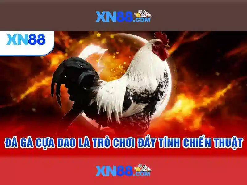 cách chơi xn88 – Tổng quan chủ đề và Giá trị cốt lõi cách chơi xn88 – Tổng quan chủ đề và Giá trị cốt lõi