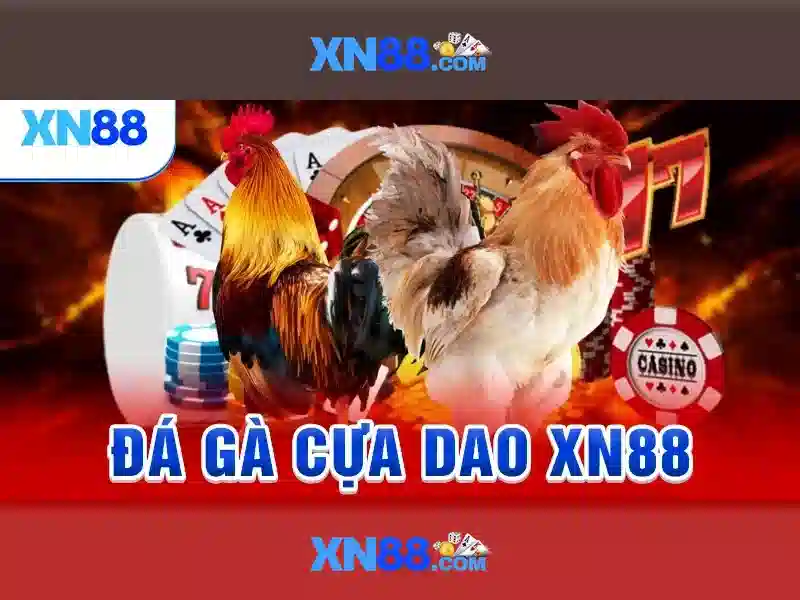 Giới thiệu xn88