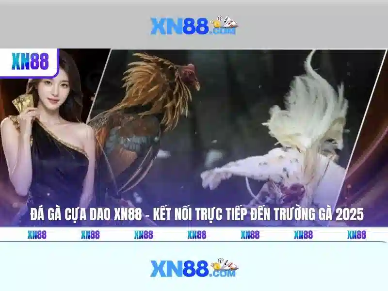xn88 – Đánh giá tổng quan và trải nghiệm người dùng
