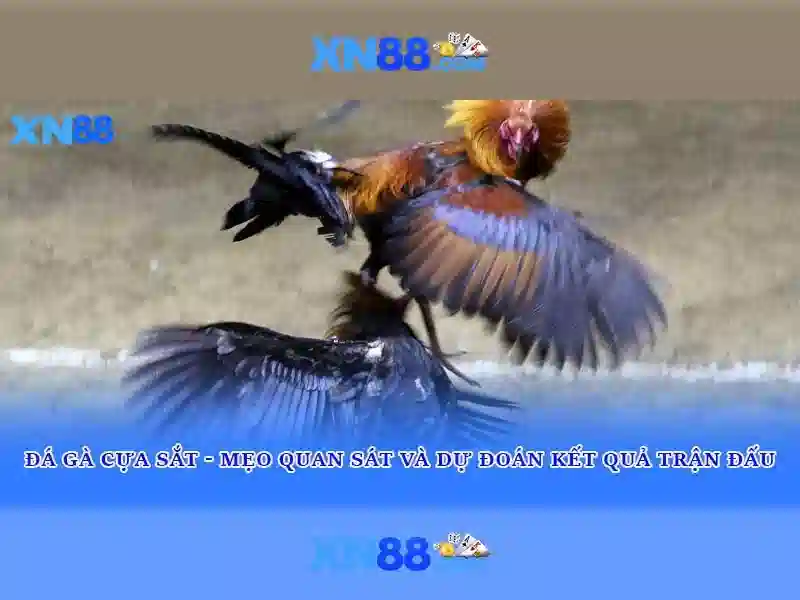 An toàn và thanh toán