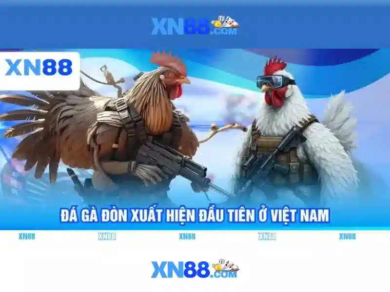 Giới thiệu về xn88