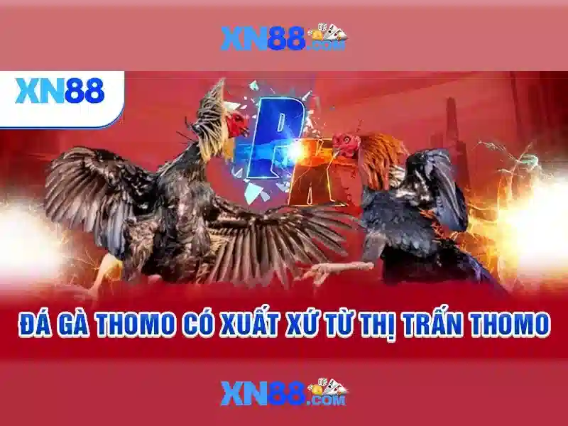 xn88: Nền tảng trực tuyến và niềm tin người dùng