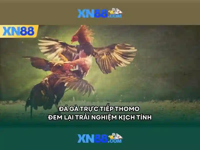 xn88 — Giới thiệu về nền tảng giải trí trực tuyến