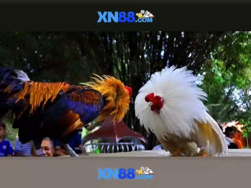 Dịch vụ chăm sóc khách hàng và hỗ trợ