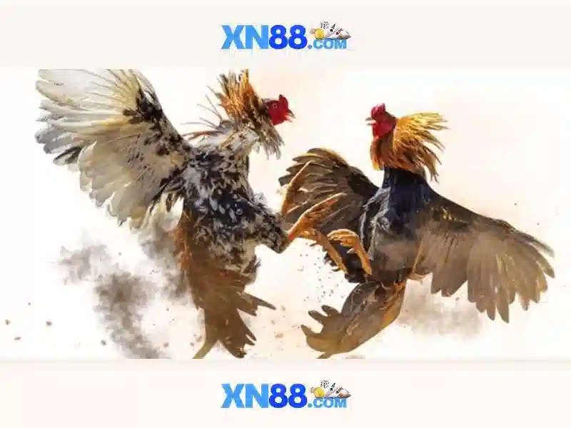 Giới thiệu về xn88: Nền tảng cược trực tuyến an toàn và tiện lợi