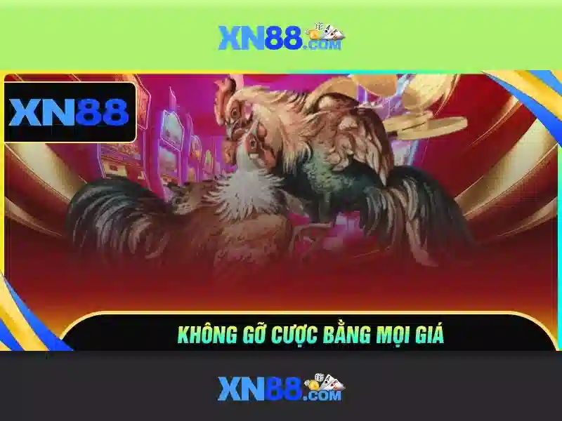 Trải nghiệm người dùng và thanh toán Trải nghiệm người dùng và thanh toán