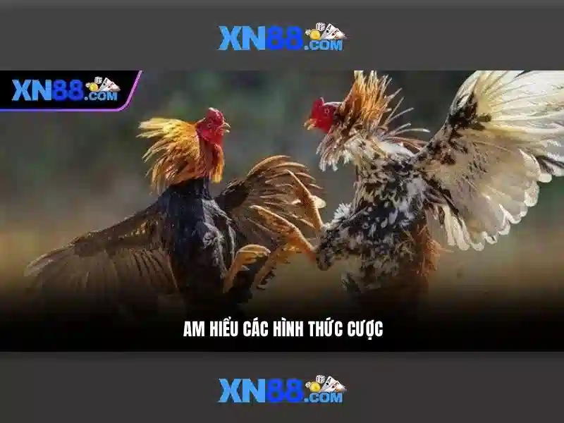 xn88 chính thức - Trải nghiệm và uy tín nổi bật