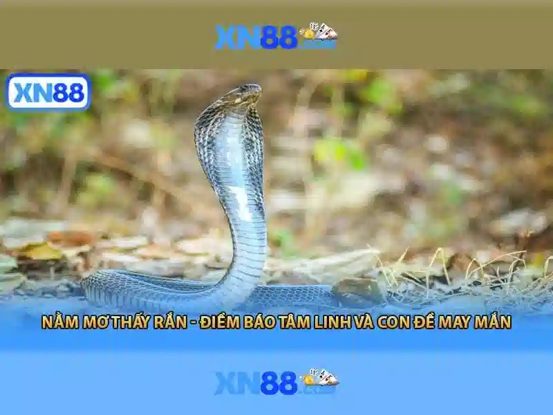 Tính năng và sản phẩm Tính năng và sản phẩm