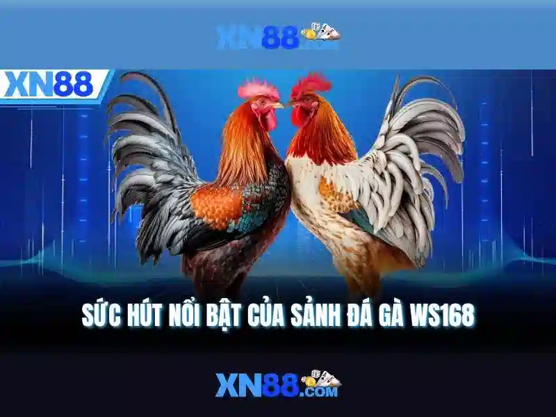 Giới thiệu về xn88
