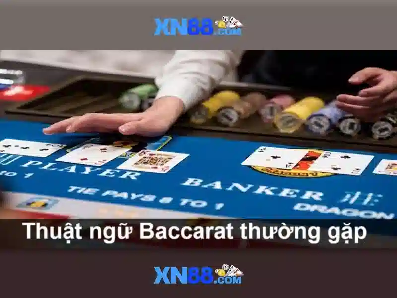 Xn88: Nền tảng cá cược trực tuyến và cộng đồng người chơi