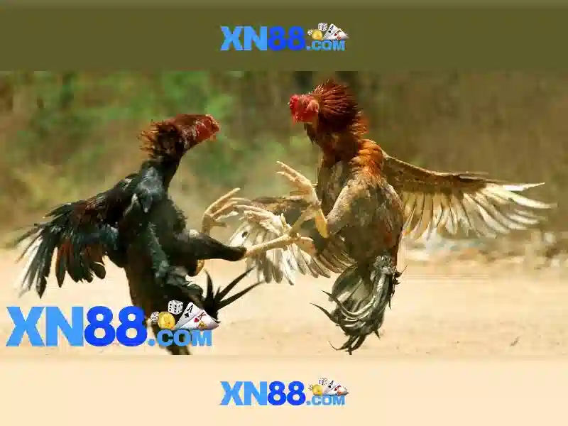 xn88: Nền tảng trò chơi trực tuyến và những điểm nổi bật
