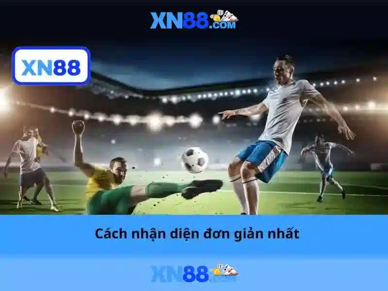 xn88 - Tổng quan về nền tảng cược trực tuyến
