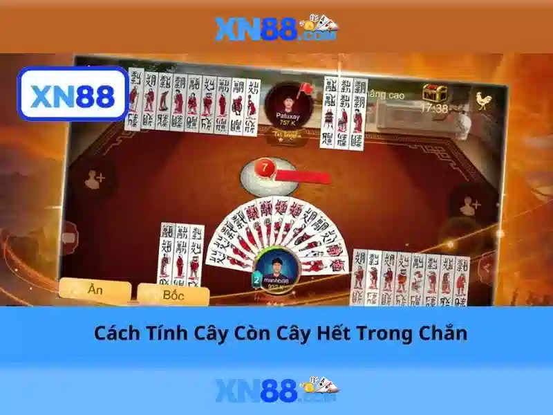 xn88: Tổng quan và hướng dẫn cơ bản