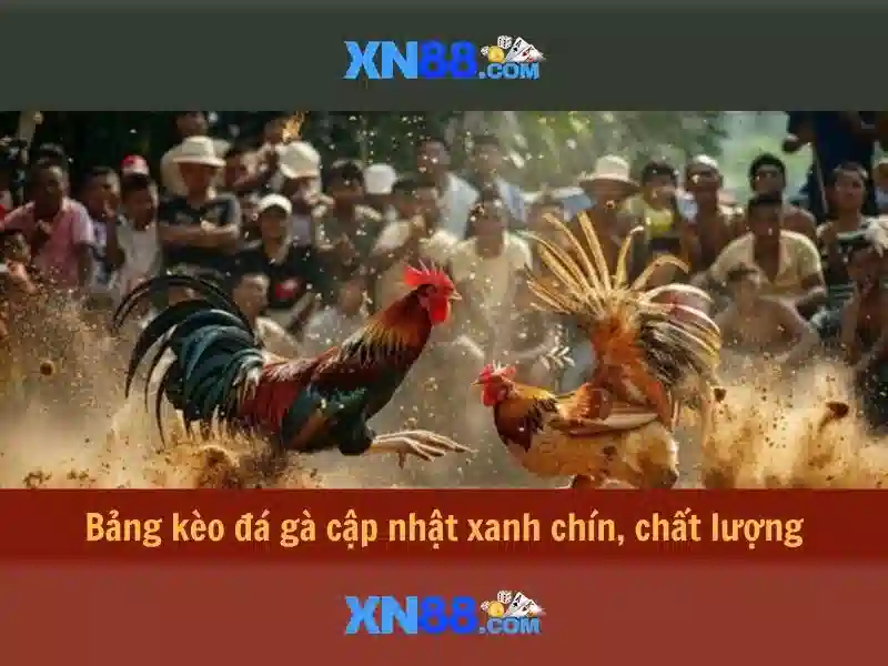 Về xn88: Nền tảng cá cược trực tuyến Về xn88: Nền tảng cá cược trực tuyến