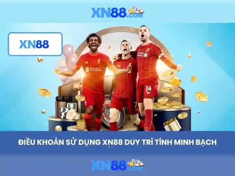 Nền tảng và trải nghiệm người dùng Nền tảng và trải nghiệm người dùng