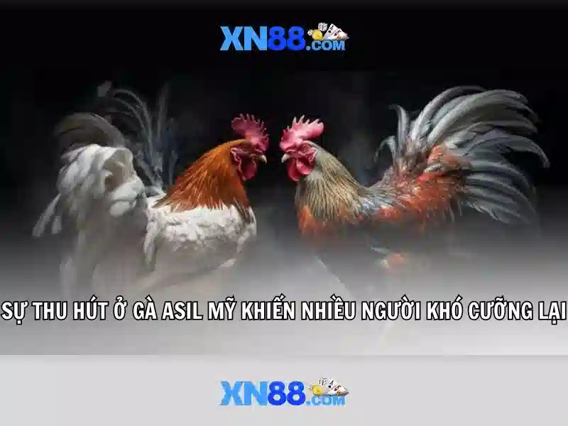 Quy định và độ tin cậy Quy định và độ tin cậy