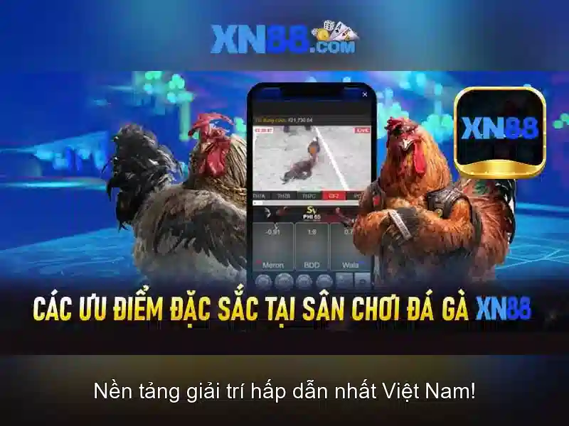 Các sản phẩm và dịch vụ của xn88 sa