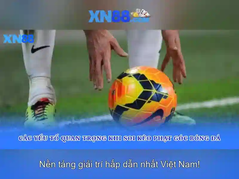 Giới thiệu về xn88 và những điều bạn nên biết