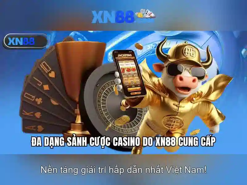Giới thiệu về xn88