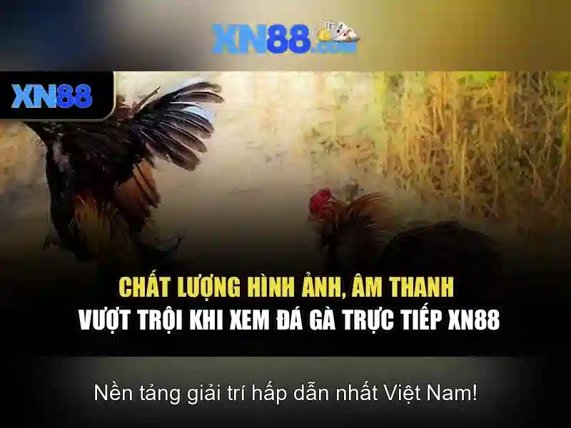 xn88: một nền tảng giải trí trực tuyến và cá cược