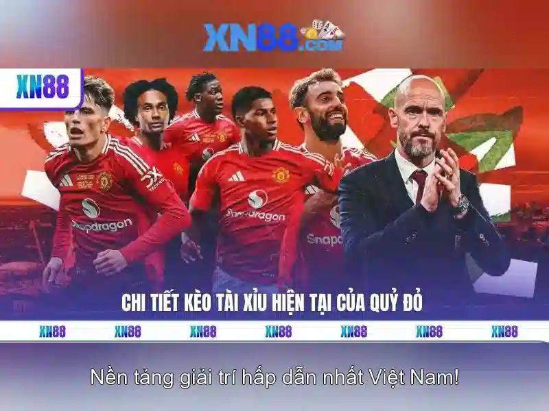 Đặc điểm nổi bật của xn88 Đặc điểm nổi bật của xn88