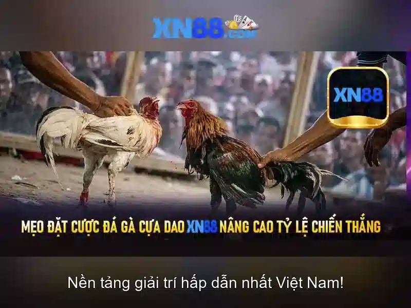 xn88 - Nền tảng chơi game và cá cược trực tuyến