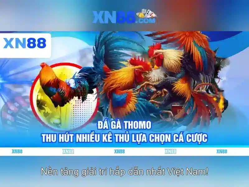 xn88: Giới thiệu và các tính năng