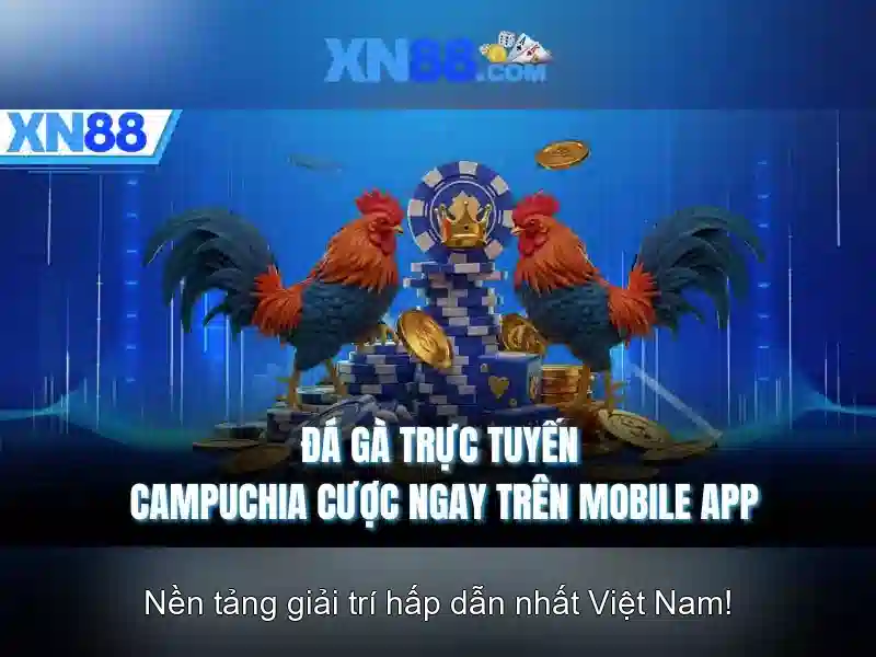 Xn88: Nền tảng cá cược trực tuyến uy tín và chi tiết