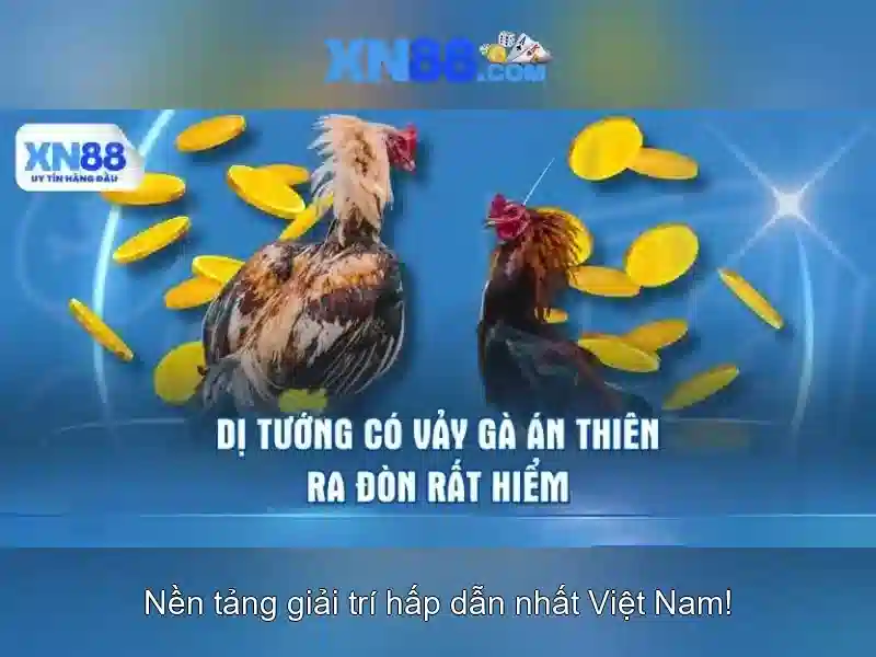 xn88: Khám phá nền tảng công nghệ và cộng đồng số