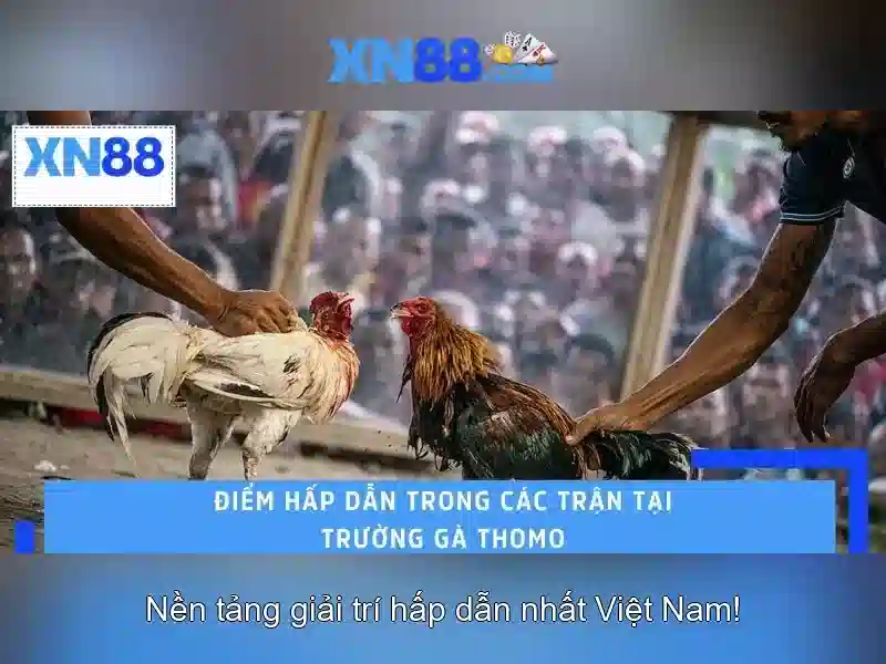 xn88: Cổng game trực tuyến và những điểm nổi bật