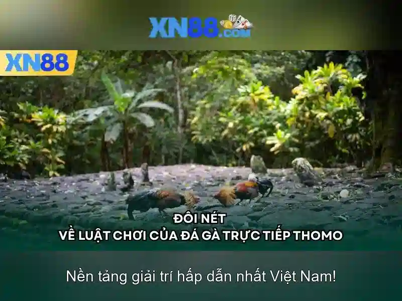 An toàn và bảo mật khi tham gia xn88