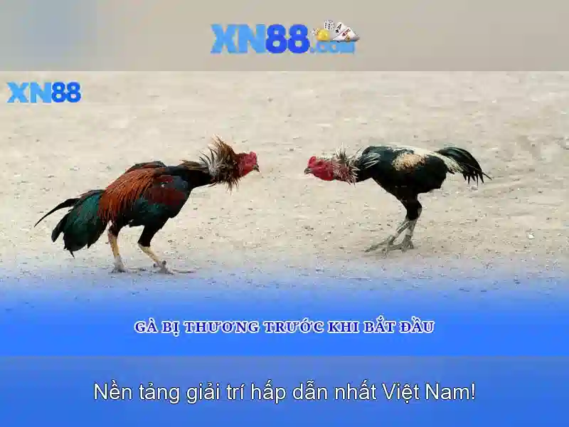 xn88: nền tảng giải trí trực tuyến